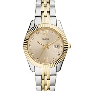 Scarlette 33mm Three-Hand Date Two-Tone Stainless Steel Watch